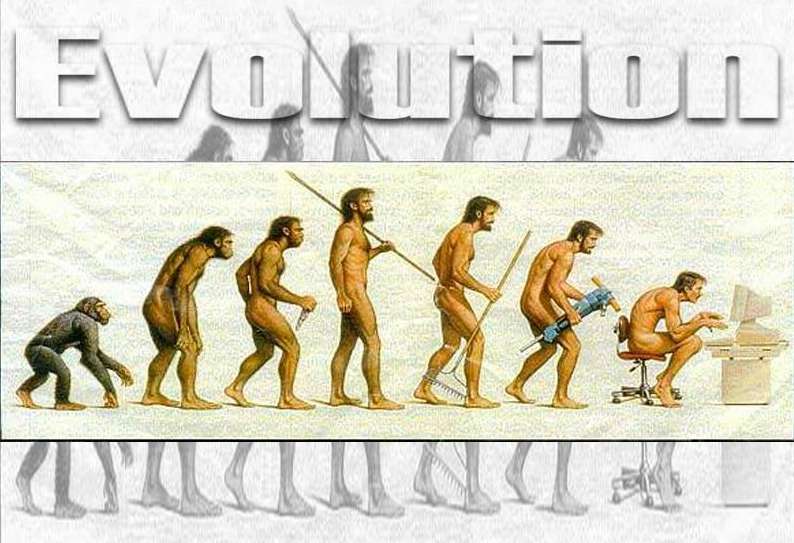 evolution.jpg